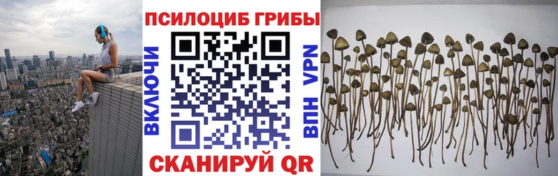как найти закладки ссылка на мегу зеркало Галлюциногенные грибы Magic Shrooms Кола